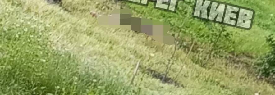801-1.jpeg
